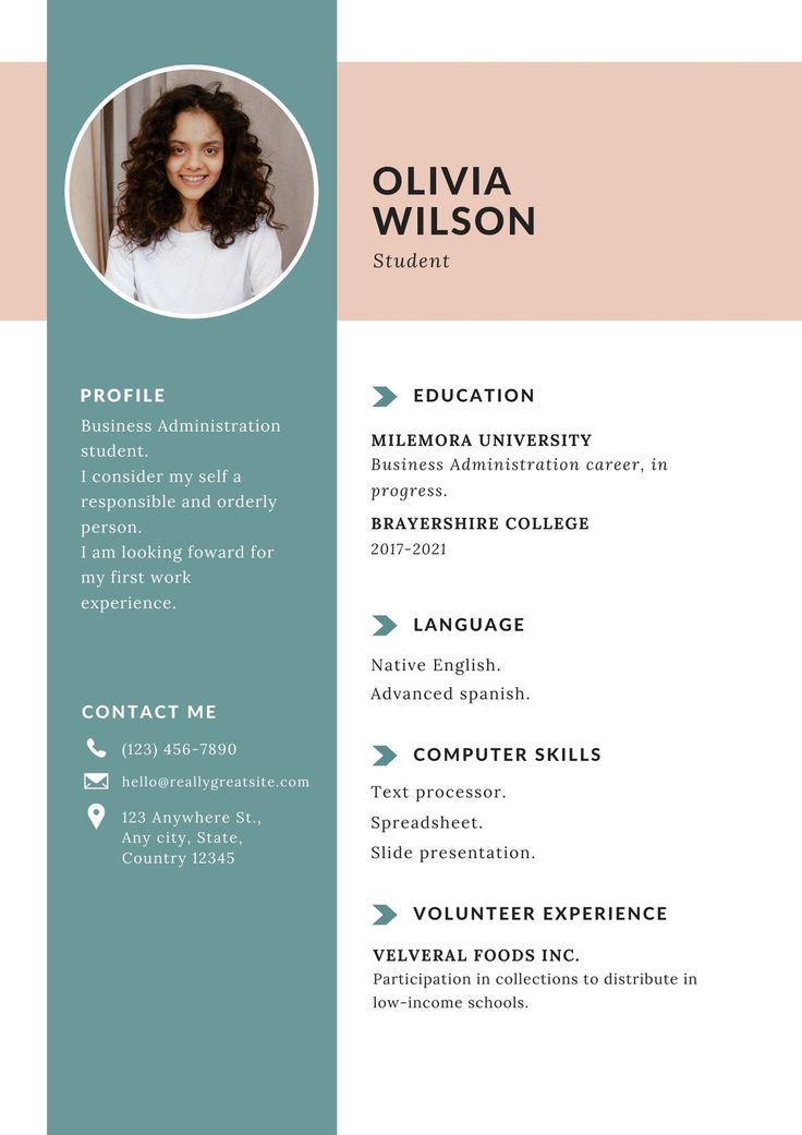 Resume Template 5